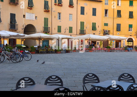 Lucca, Anfiteatro Square bei Dämmerung, Piazza Dell'anfiteatro, Toskana, Italien, Europa Stockfoto