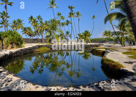 Heleipalala (Fischteich) - Pu'uhonua O Honaunau National Historical Park, Big Island, Hawaii, USA Stockfoto