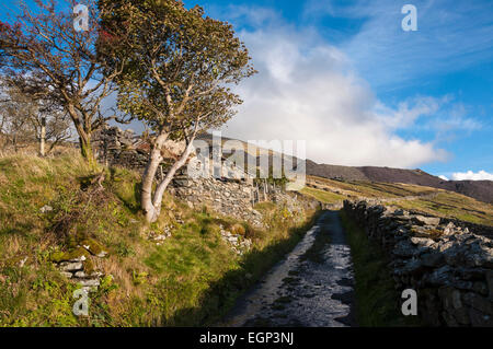 Ruinen der Häuser unterhalb Dinorwig Steinbruch in der Nähe von Llanberis in Snowdonia. Stockfoto