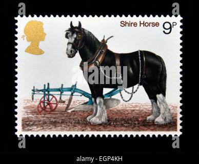 Briefmarke. Great Britain. Königin Elizabeth II. 1978. Pferde. Shire Horse. 9p. Stockfoto