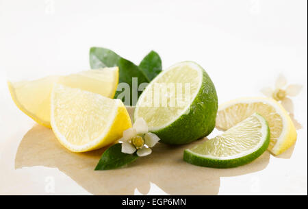 Zitrone & Limette, Citrus Limon & citrus Aurantiifolia. Stücke, Hälften, Viertel und Scheiben mit Blüten und Blätter gespritzt mit Wassertropfen auf weißem Marmor. Selektiven Fokus. Stockfoto