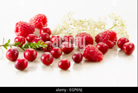 Preiselbeere, Vaccinium Oxycoccos, mehrere Beeren mit einem Zweig von Blättern und mit Himbeeren und Holunderblüten. Auf weißem Marmor angeordnet. Selektiven Fokus. Stockfoto