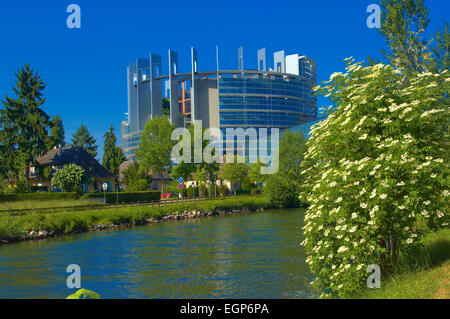 Straßburg, Europäische Parlamentsgebäude, UNESCO-Weltkulturerbe, Elsass, Bas Rhin, Frankreich, Europa. Stockfoto