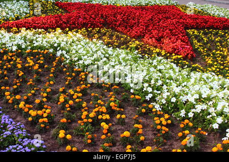 Fflowers gepflanzt, um die Betten in der Form eines Sterns Stockfoto