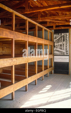 Kojen in der Baracke Zimmern im KZ Dachau Stockfoto