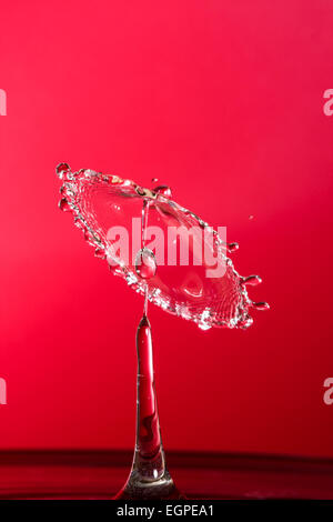 Wasser Tropfen Kollisionen mit einem roten Hintergrund Stockfoto