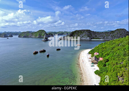 Vietnam - Halong-Bay-Nationalpark (UNESCO). Der beliebteste Ort in Vietnam. Affeninsel. Stockfoto