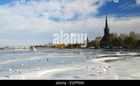 Winterlandschaft auf dem Tabacarie See in Constanta, See voll von Zugvögeln auf der Suche nach Nahrung. Stockfoto