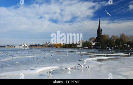 Winterlandschaft auf dem Tabacarie See in Constanta, See voll von Zugvögeln auf der Suche nach Nahrung. Stockfoto