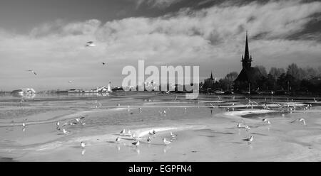 Winterlandschaft auf dem Tabacarie See in Constanta, See voll von Zugvögeln auf der Suche nach Nahrung. Stockfoto