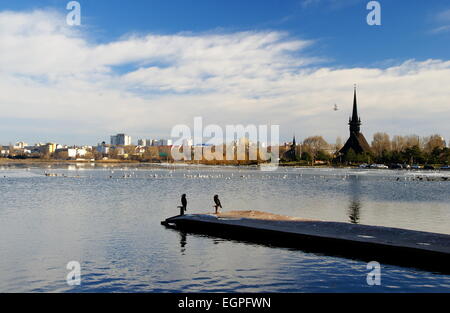 Winterlandschaft auf dem Tabacarie See in Constanta, See voll von Zugvögeln auf der Suche nach Nahrung. Stockfoto