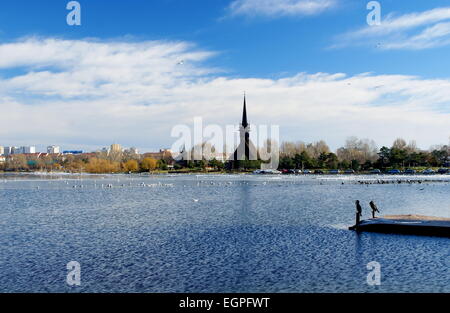 Winterlandschaft auf dem Tabacarie See in Constanta, See voll von Zugvögeln auf der Suche nach Nahrung. Stockfoto