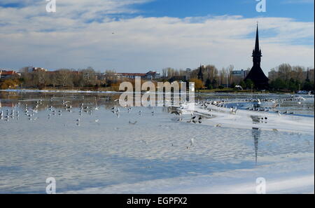 Winterlandschaft auf dem Tabacarie See in Constanta, See voll von Zugvögeln auf der Suche nach Nahrung. Stockfoto