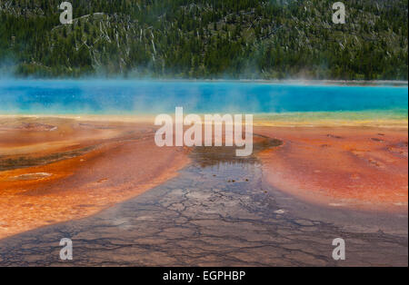 Grand prismatische Frühling im Yellowstone-Nationalpark, Wyoming. Stockfoto