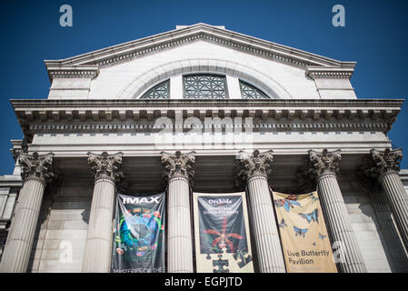 Der vordere Eingang, mit Blick auf die National Mall, der das Smithsonian National Museum of Natural History in Washington DC. Stockfoto