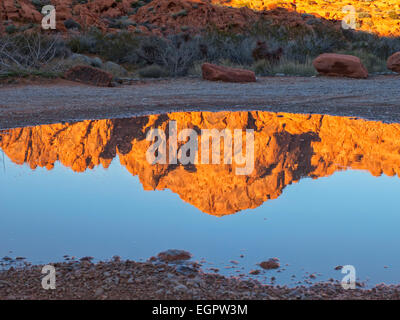 Rote Felsformationen in der Nähe der Maus Trail Valley of Fire State Park Nevada spiegeln sich in einer Pfütze goldenen Stunde bei Sonnenuntergang. Western USA Reisen malerische Stockfoto