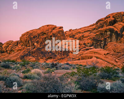 Roten Felsformationen im Valley of Fire State Park, Nevada, USA, während der blauen Stunde nach Sonnenuntergang, Serie. Stockfoto