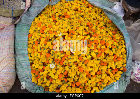 Blumenmarkt ist ein Großhandel, catering auf die Bedürfnisse von frischen Blumen von Kolkata. Stockfoto