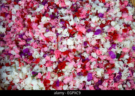 Blumenmarkt ist ein Großhandel, catering auf die Bedürfnisse von frischen Blumen von Kolkata. Stockfoto