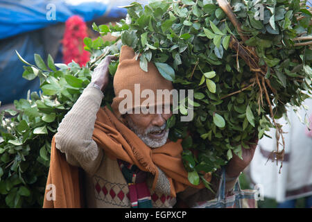 Blumenmarkt ist ein Großhandel, catering auf die Bedürfnisse von frischen Blumen von Kolkata. Stockfoto