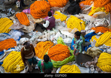 Blumenmarkt ist ein Großhandel, catering auf die Bedürfnisse von frischen Blumen von Kolkata. Stockfoto