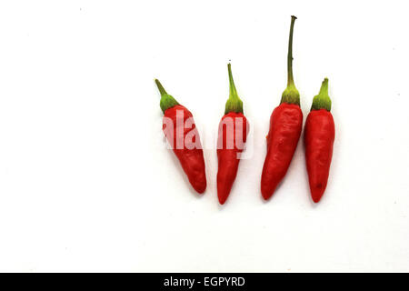 kleine rote hot Chillies in weißem Hintergrund Stockfoto