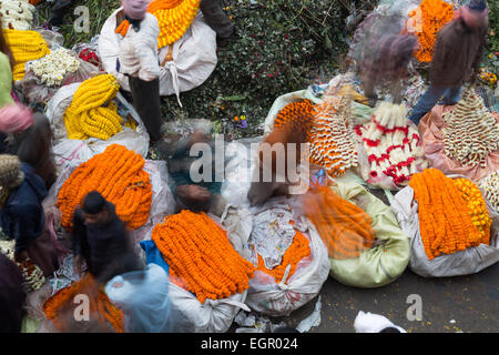 Blumenmarkt ist ein Großhandel, catering auf die Bedürfnisse von frischen Blumen von Kolkata. Stockfoto