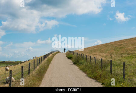 Radfahrer auf dem Deich auf der Insel Texel in der Nähe von Oudeschild. Stockfoto