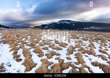 Blick von der Schuster - ein Berg rund um Loch Long und Arrochar in Schottland Stockfoto