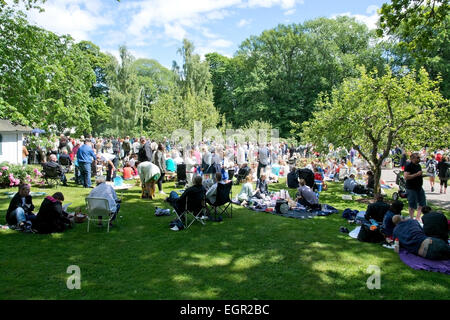 ALSTER, KARLSTAD, Schweden - 20. Juni 2014: Menschen am Mittsommerfest und Norwegisch - schwedische Hochzeit am 20. Juni 2014 in A Stockfoto