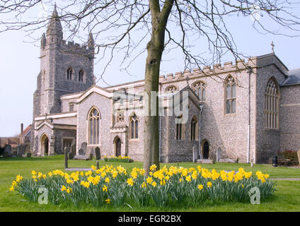 Dollar - Old Amersham - Vorfrühling - Narzissen in voller Blüte unter einem Baum - im Fokus Hintergrund Vollansicht des Str. Marys Kirche Stockfoto