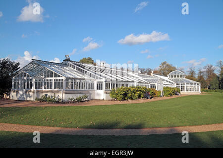 Chiswick House Konservatorium, eine prächtige Neo-palladianische Villa in Chiswick Park, West-London, UK. Stockfoto