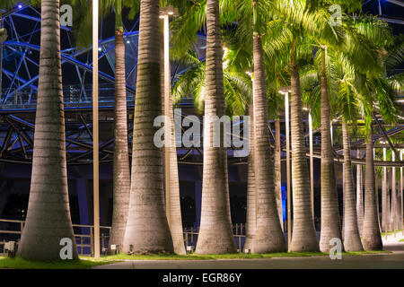 Palm-Bäume-Gasse in Singapur Stadt nachts beleuchtet Stockfoto