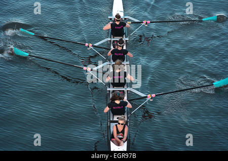 Ruderer am Yarra River Melbourne Australien Stockfoto