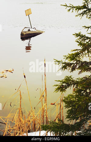 Anlegestelle für Boote auf dem See im Frühjahr Stockfoto