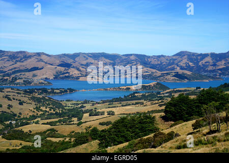 Akaroa Harbour, Südinsel, Neuseeland Stockfoto