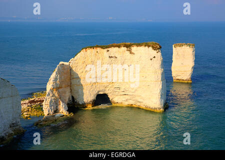 Jurassic Coast Kreide Stapel Old Harry Rocks Dorset England UK östlich von Studland in der Nähe von Swanage Poole und Bournemouth Stockfoto