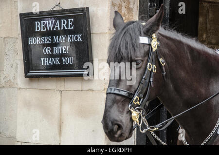 Schild, das Touristen warnt, dass Pferde treten oder beißen können, in der Horse Guards Parade in London, Großbritannien. Sicherheitshinweis Stockfoto