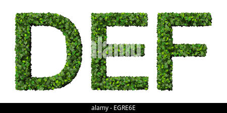 D E F Alphabet Buchstaben aus grünen Blättern, die isoliert auf weißem Hintergrund gemacht.