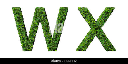 W X Alphabet Buchstaben aus grünen Blättern, die isoliert auf weißem Hintergrund gemacht.