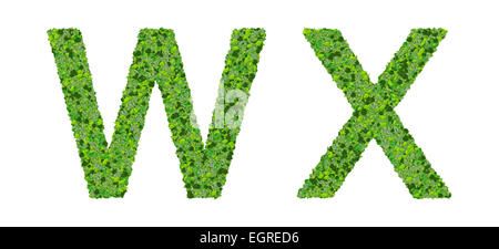 w x Alphabet Buchstaben aus grünen Blättern, die isoliert auf weißem Hintergrund gemacht.