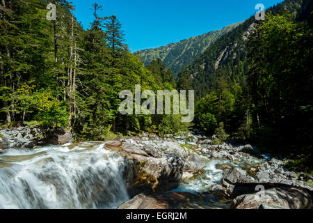 Fluss zwischen Cauterets und Pont D Espagne, Hautes-Pyrenäen, Frankreich Stockfoto