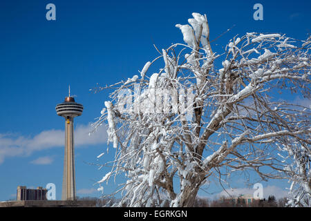 Niagara Falls, New York - Rahmen ein Baumes ummantelt Eis aus Gischt der Niagarafälle Skylon Tower. Stockfoto