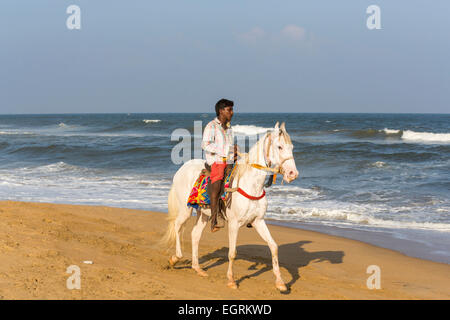 Lokale Mann reitet ein weißes Pferd am Meer Rand am Marina Beach, Chennai, Tamil Nadu, Südindien Stockfoto