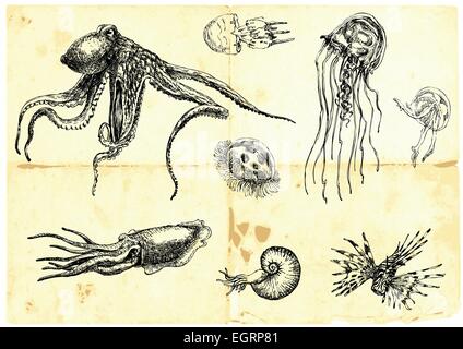 Handgezeichnete Sammlung. Unterwasserwelt - Seeungeheuer. Stock Vektor