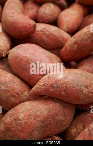 Süßkartoffeln in Brooklyn, NY Bauernmarkt Stockfoto