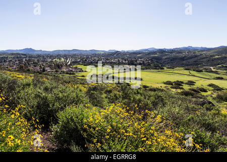 Frühling Wiesen und Wildblumen am Rande des Vorstadtgehäuse Traktate in Thousand Oaks in der Nähe von Los Angeles, Kalifornien. Stockfoto