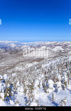 Shiga Kogen Resort im Winter, Nagano, Japan Stockfoto