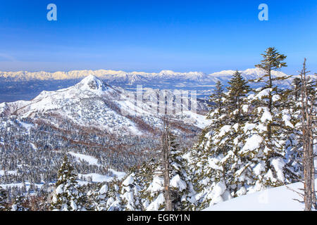 Shiga Kogen Resort im Winter, Nagano, Japan Stockfoto