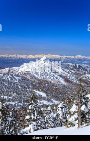 Shiga Kogen Resort im Winter, Nagano, Japan Stockfoto